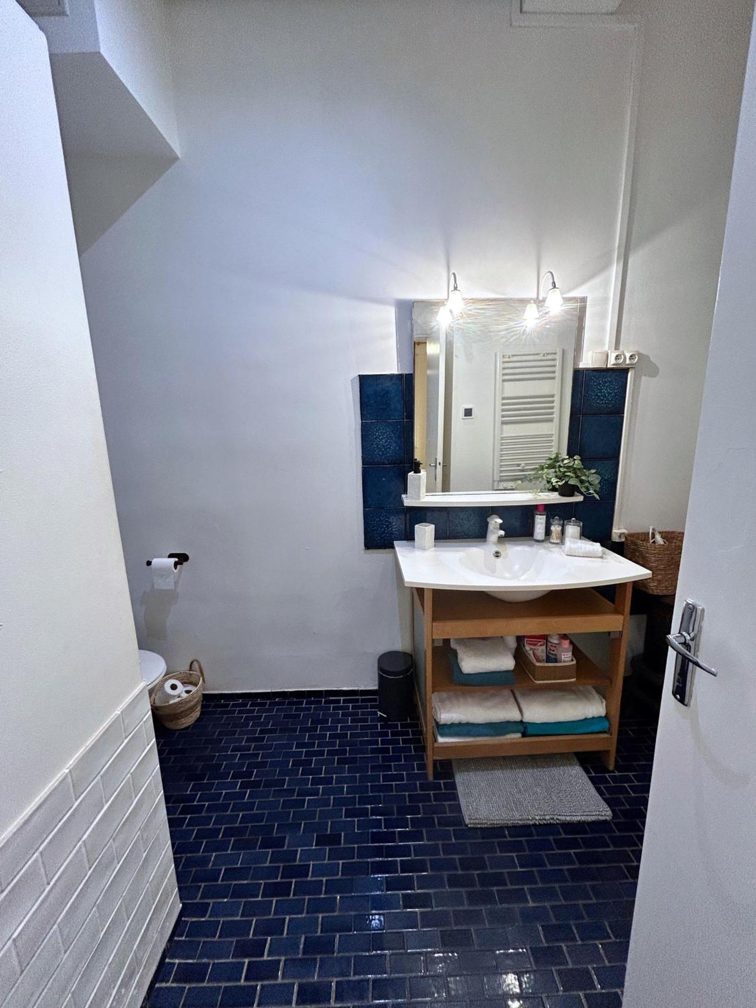 Le Patio Riquet Apartment Toulouse Exterior foto